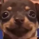 donadenutellaxd avatar