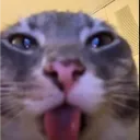 btx_1222
