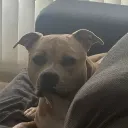 msangel0451_76977 avatar