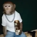 vfreiitas