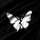 avatar Shpey