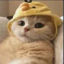 chill_guy12345678