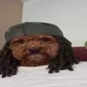juttlag