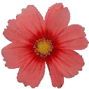 chunghwamc