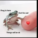 aidenyt0436