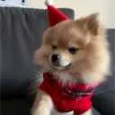 angelhahahaahah12 avatar