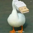 xecretary