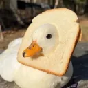 xecretary