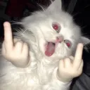 httpsjohn