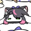 nekoasumi