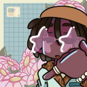 avatar quinn. (but not)