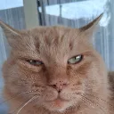 paupaudelrey_93688 avatar