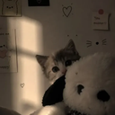 e-kitten   𑣲