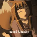 sendiaczek.
