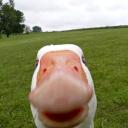 g00sehonk_
