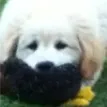 Sleepy's Avatar