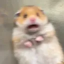 rovskialcou