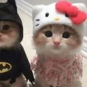 ppppusheen