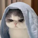 _my_11_