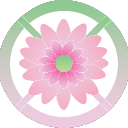 wfusgeyys364303_11655