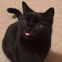 fwljzbsco776887