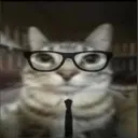 brandonq888399 avatar