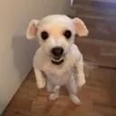 bebrailya_70376 avatar