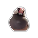 buntyou1234