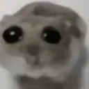 punkungqr