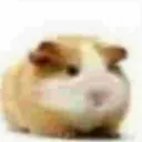 jdksnakdnzq_53880 avatar