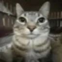 cheetosaurio2002_04575 avatar