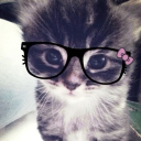 avatar '*•.¸♡R♡¸.•*'