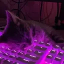 tebbu_vr
