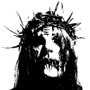 jack_xxrz