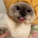 pistachio____ avatar