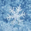 snowflake088895