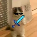 tps_suitcat_5671