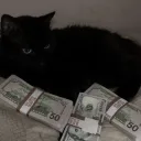 maciequ98