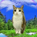 avatar 𝓭𝓻𝔁𝔀𝓼𝓴𝓲