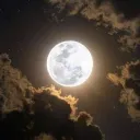 thatfunnyguy0932 avatar