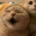 antonio_771