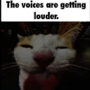 random_user150 avatar