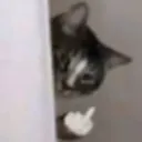 overd4rth