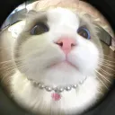 ii_vmartini