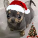 lucasangelx.