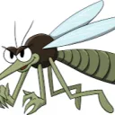 mosquito_cronos
