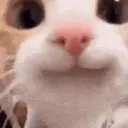 mrinkdilk
