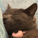 avatar ♡ Bunnie ♡