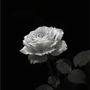 vkzz_blk
