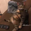 Аватар pushen0909